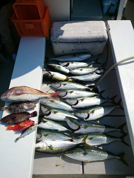 エンペラー 釣果