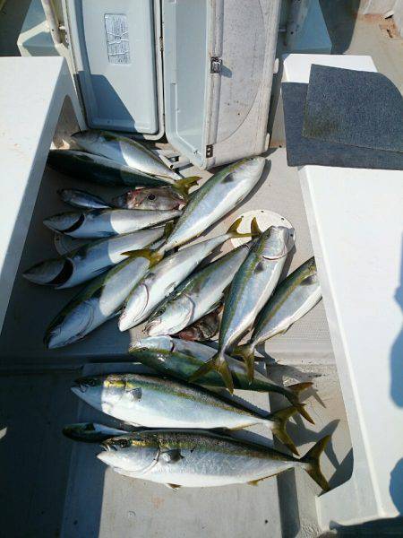 エンペラー 釣果