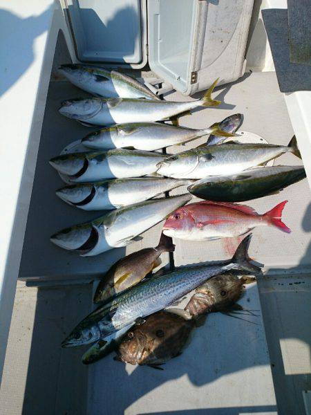 エンペラー 釣果