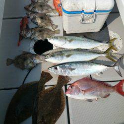 エンペラー 釣果