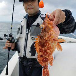 ソルトウォーターガイドフレンズ 釣果