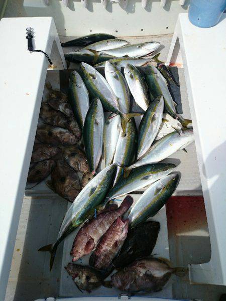 エンペラー 釣果