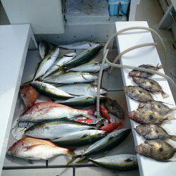 エンペラー 釣果