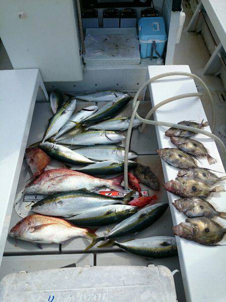 エンペラー 釣果