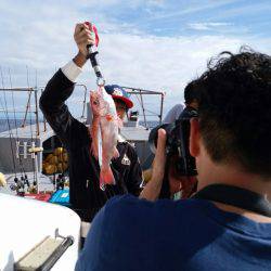 ありもと丸 釣果