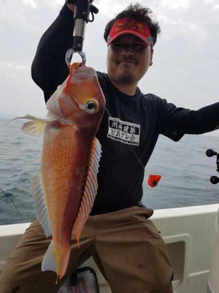 ソルトウォーターガイドフレンズ 釣果