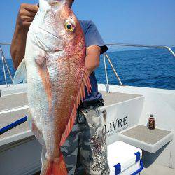 ブルースフィッシングサービス 釣果