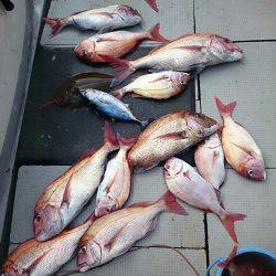 ブルースフィッシングサービス 釣果