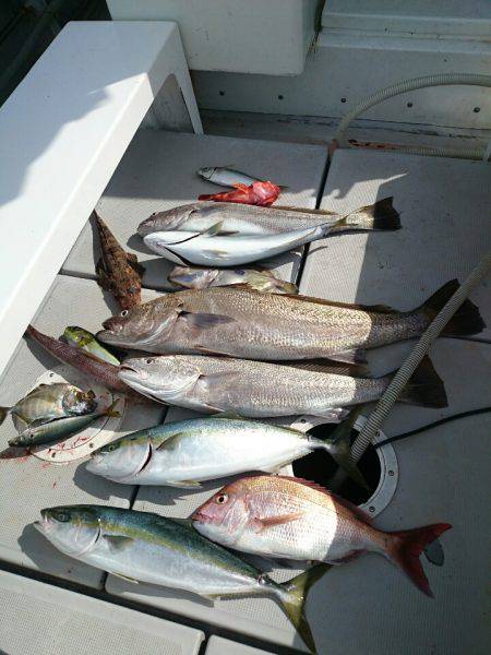 エンペラー 釣果