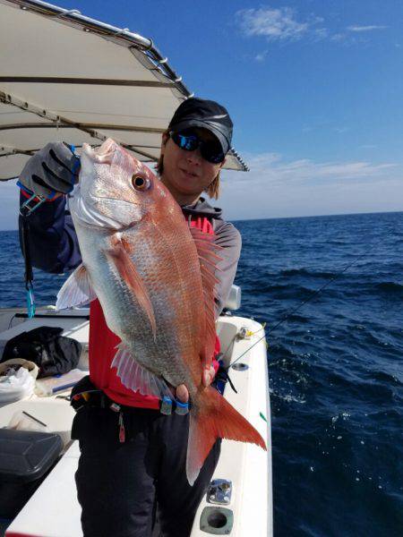 ソルトウォーターガイドフレンズ 釣果