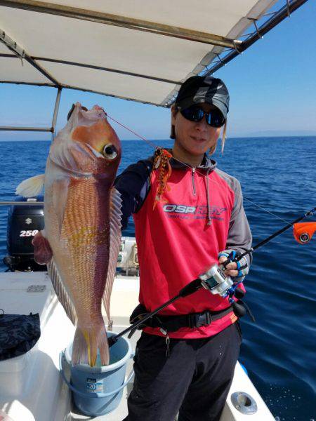 ソルトウォーターガイドフレンズ 釣果