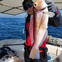 ソルトウォーターガイドフレンズ 釣果