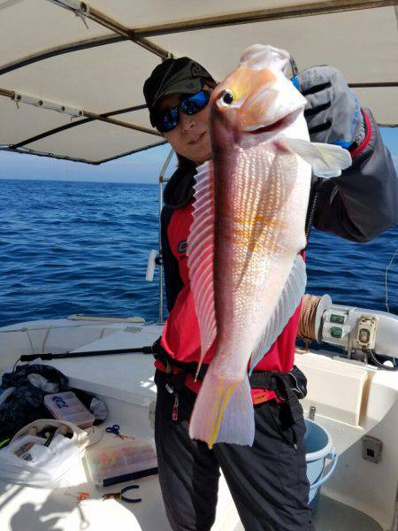 ソルトウォーターガイドフレンズ 釣果