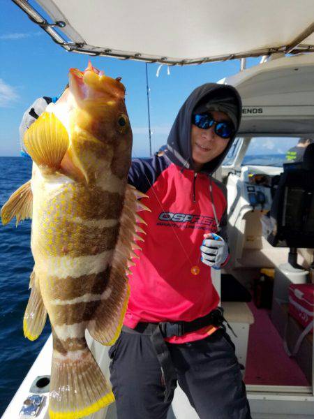 ソルトウォーターガイドフレンズ 釣果