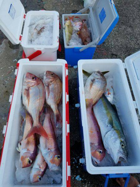 ソルトウォーターガイドフレンズ 釣果