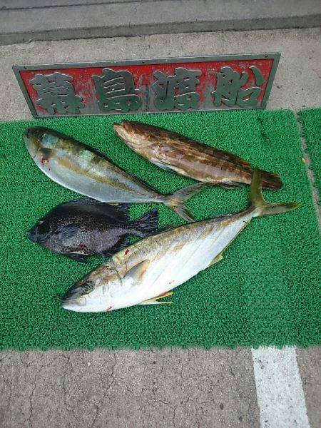 幕島丸 釣果