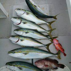 エンペラー 釣果