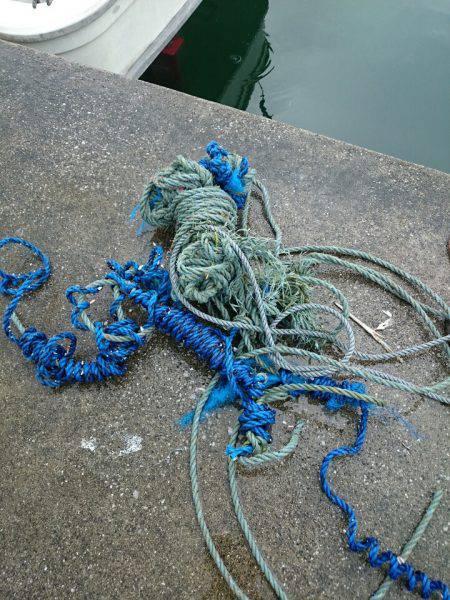 エンペラー 釣果