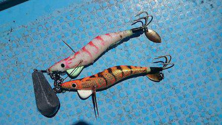 シースナイパー海龍 釣果