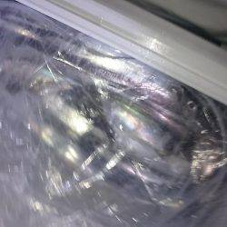 シースナイパー海龍 釣果