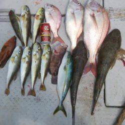 海季丸(みきまる) 釣果