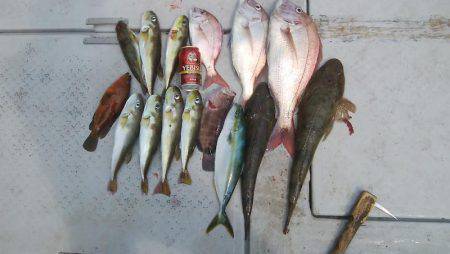 海季丸(みきまる) 釣果