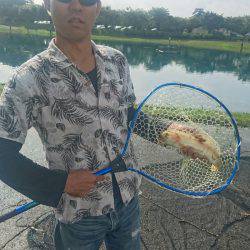 加賀フィッシングエリア 釣果