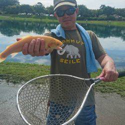 加賀フィッシングエリア 釣果