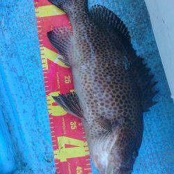 シースナイパー海龍 釣果