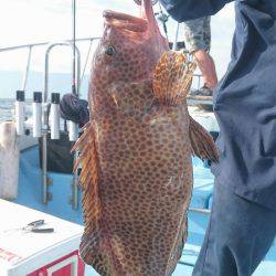 シースナイパー海龍 釣果
