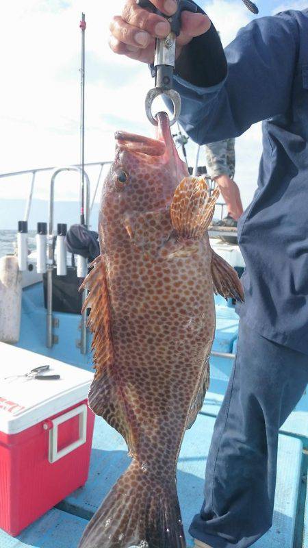 シースナイパー海龍 釣果