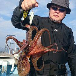 シースナイパー海龍 釣果