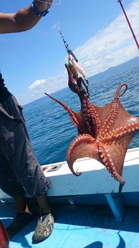 シースナイパー海龍 釣果