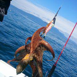 シースナイパー海龍 釣果