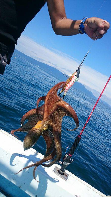 シースナイパー海龍 釣果