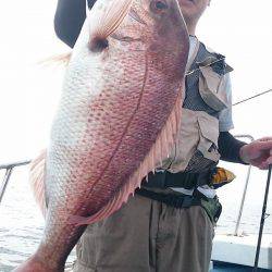 シースナイパー海龍 釣果