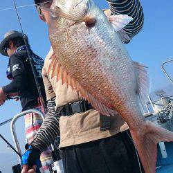 シースナイパー海龍 釣果