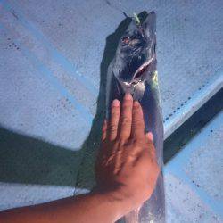 シースナイパー海龍 釣果