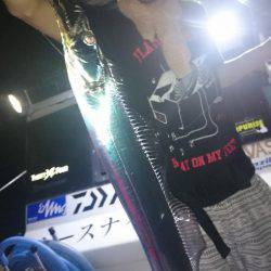 シースナイパー海龍 釣果