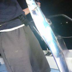 シースナイパー海龍 釣果