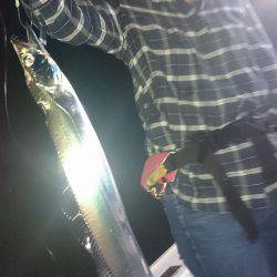 シースナイパー海龍 釣果