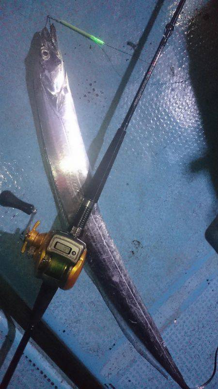 シースナイパー海龍 釣果