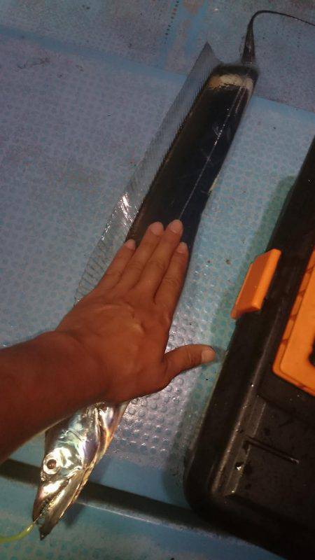 シースナイパー海龍 釣果