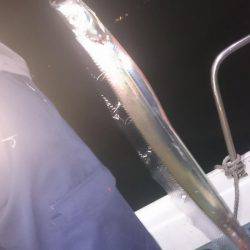 シースナイパー海龍 釣果