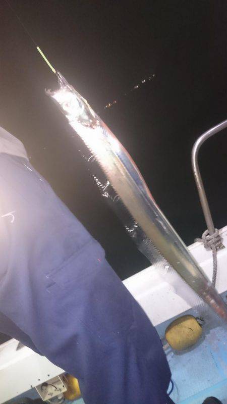 シースナイパー海龍 釣果