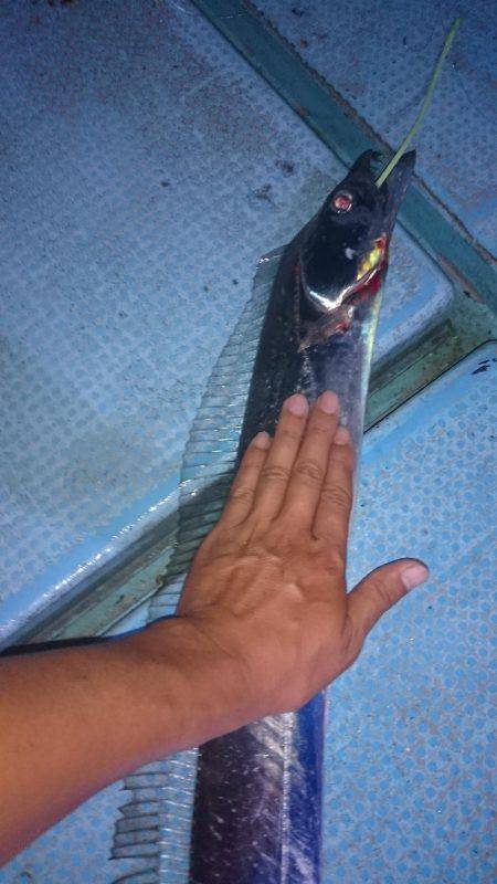 シースナイパー海龍 釣果