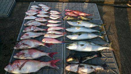 ARCADIAⅡ （アルカディアⅡ） 釣果