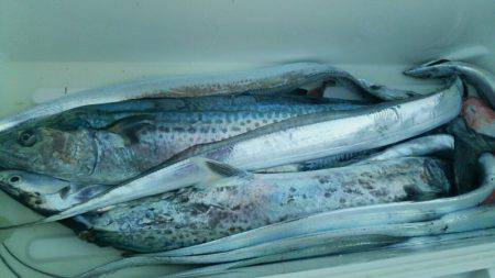 Monster Rush! 釣果