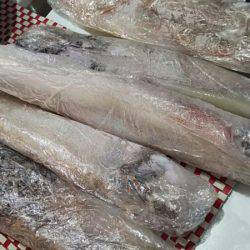 タイラバ遊漁船 ワンピース 釣果