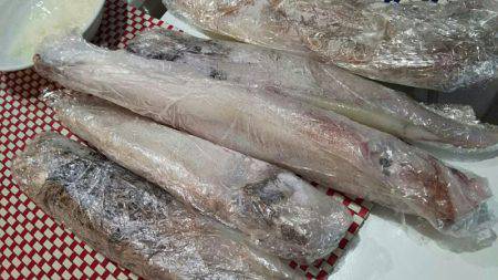 タイラバ遊漁船 ワンピース 釣果